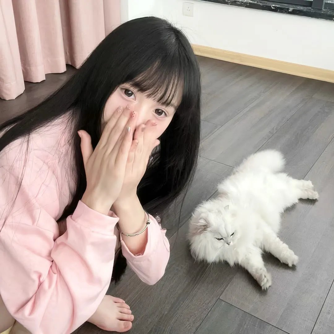 飞狗巴迪